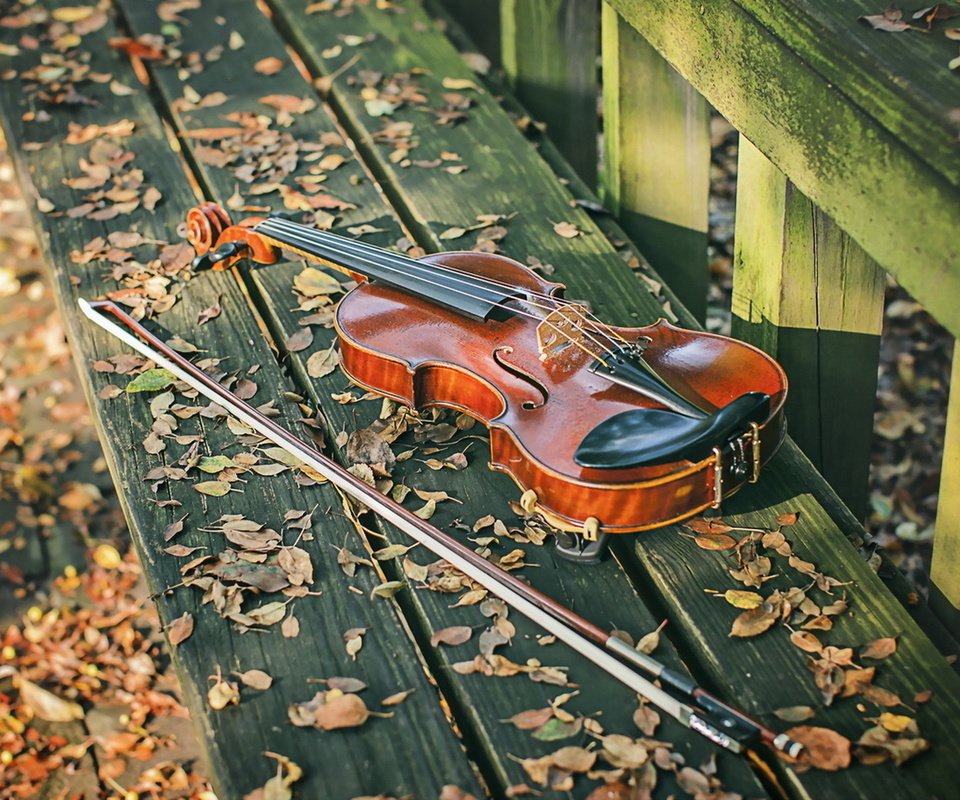 Обои листья, скрипка, осень, лежит, скамейка, музыкальный инструмент, смычок, leaves, violin, autumn, lies, bench, musical instrument, bow разрешение 1920x1080 Загрузить