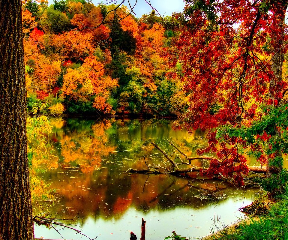 Обои река, природа, лес, листва, осень, river, nature, forest, foliage, autumn разрешение 1920x1080 Загрузить