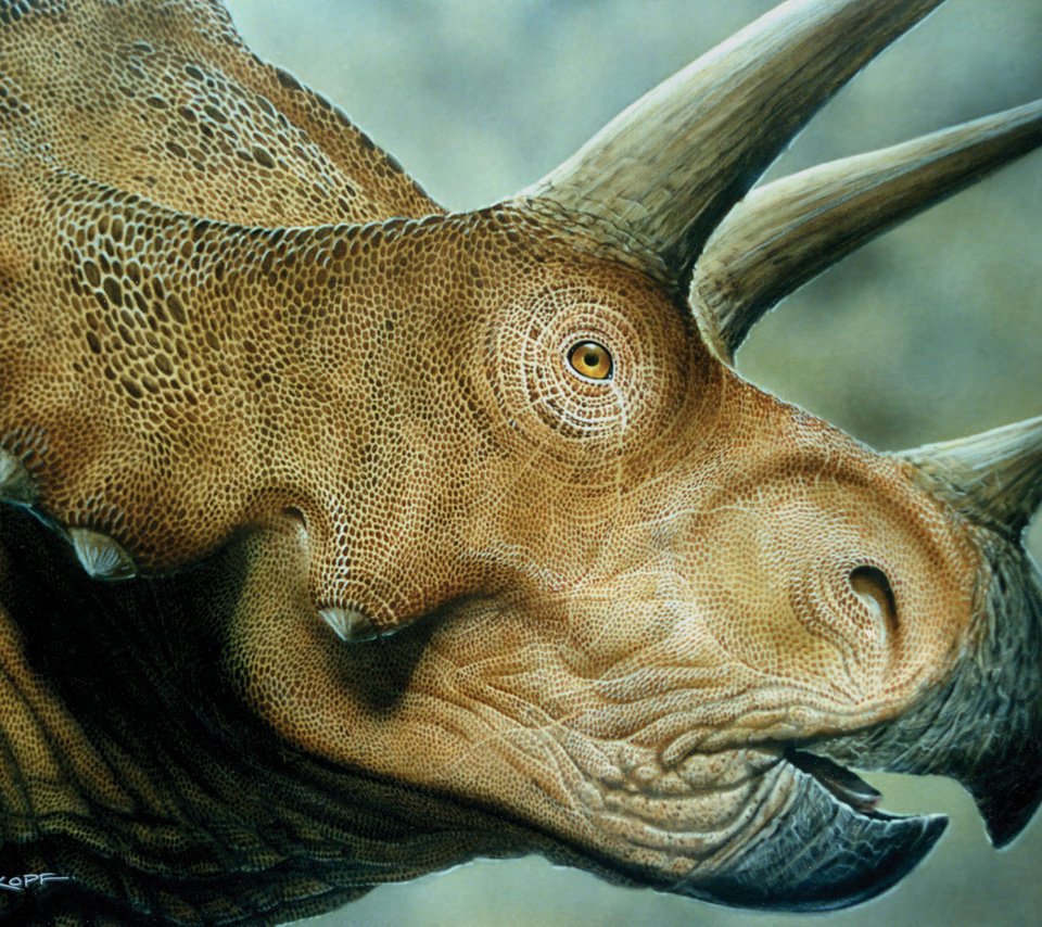 Обои динозавр, triceratops, мродаха, dinosaur, prodaja разрешение 4500x3000 Загрузить