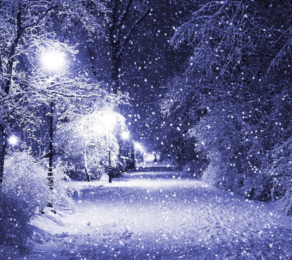 Обои ночь, деревья, фонари, снег, зима, парк, night, trees, lights, snow, winter, park разрешение 4820x3421 Загрузить