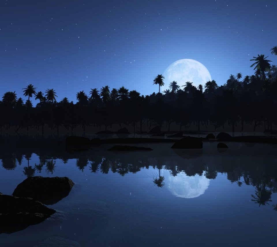 Обои отражения, звезды, луна, пальмы, reflection, stars, the moon, palm trees разрешение 1920x1200 Загрузить