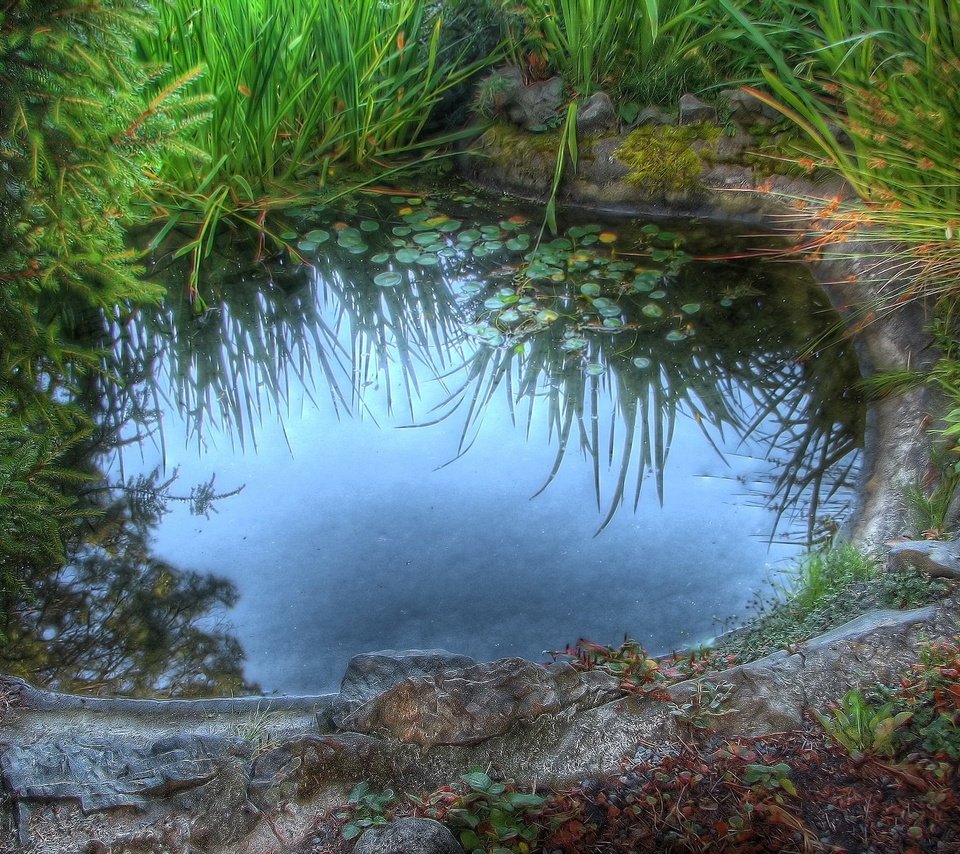 Обои трава, камни, лужа, grass, stones, puddle разрешение 1920x1440 Загрузить