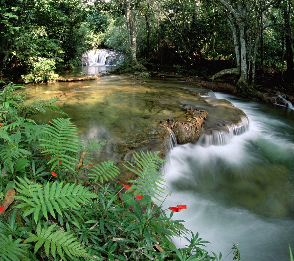 Обои река, лес, водопад, тропический, river, forest, waterfall, tropical разрешение 1920x1200 Загрузить