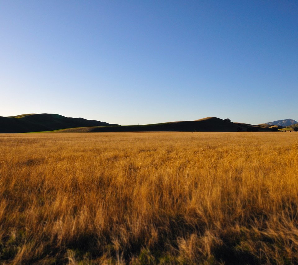 Обои небо, горы, поле, пшеница, the sky, mountains, field, wheat разрешение 4288x2848 Загрузить