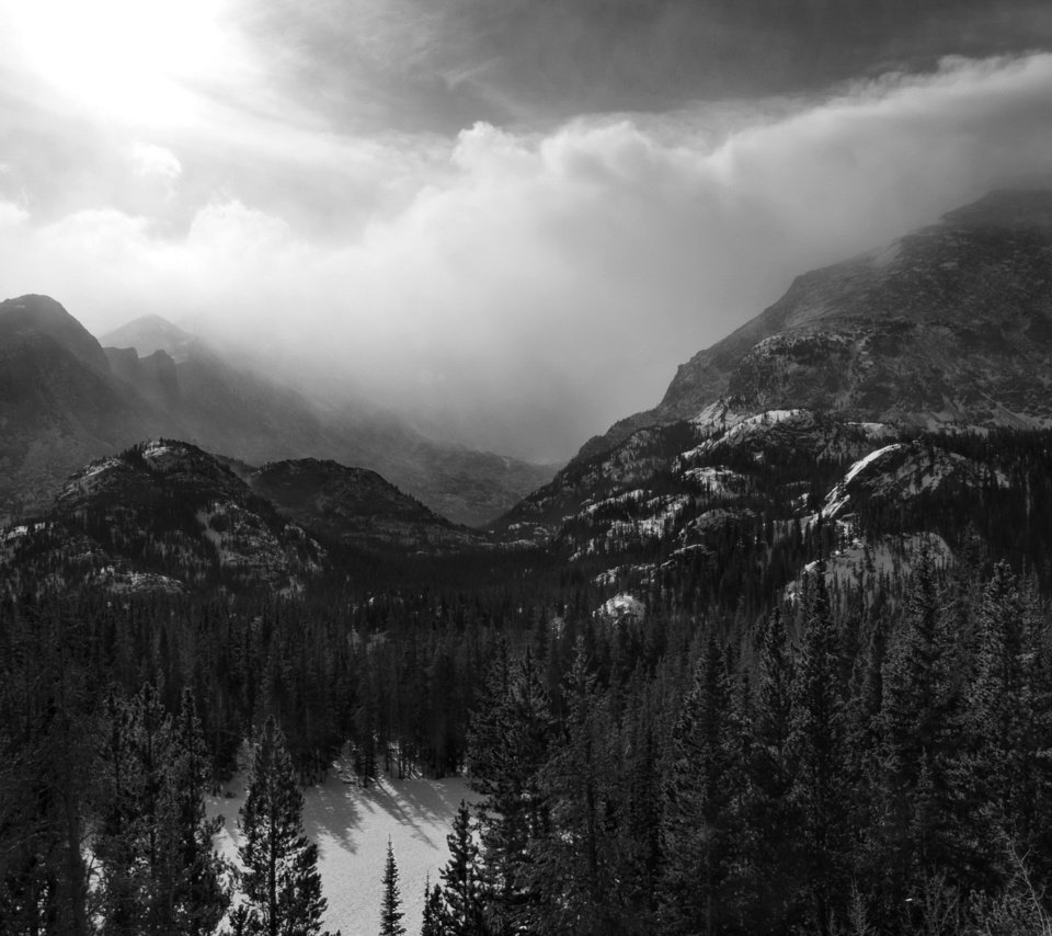 Обои горы, лес, черно-белая, mountains, forest, black and white разрешение 2560x1656 Загрузить