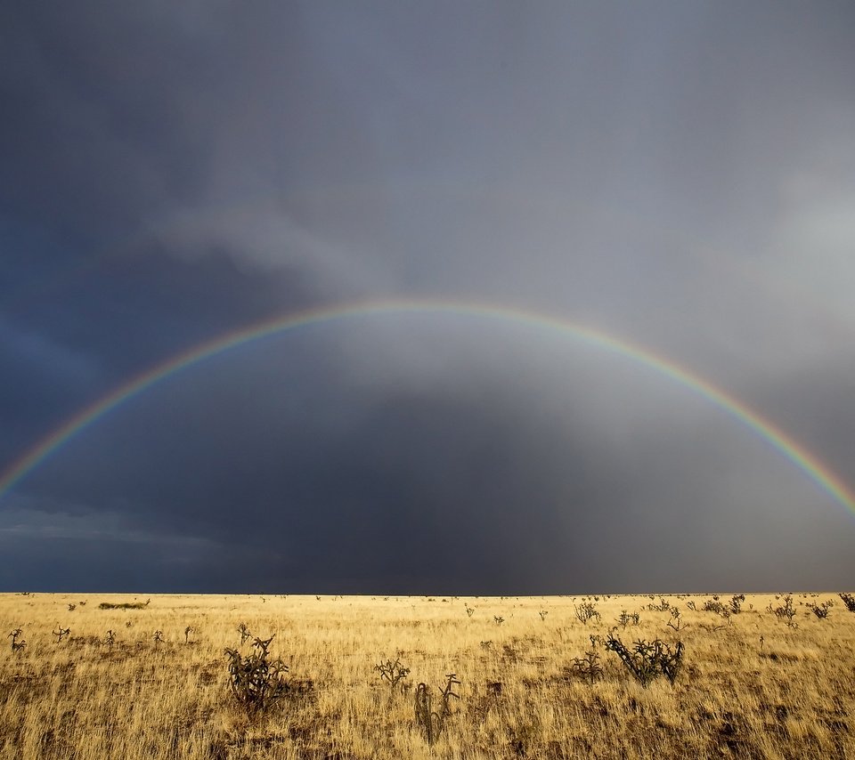 Обои небо, трава, облака, радуга, нью-мексико, the sky, grass, clouds, rainbow, new mexico разрешение 2560x1600 Загрузить