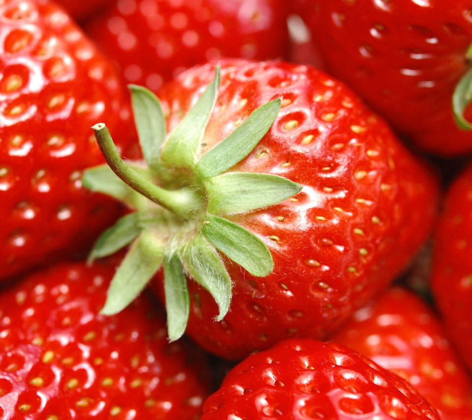 Обои лето, еда, клубника, красный, ягоды, summer, food, strawberry, red, berries разрешение 1920x1200 Загрузить