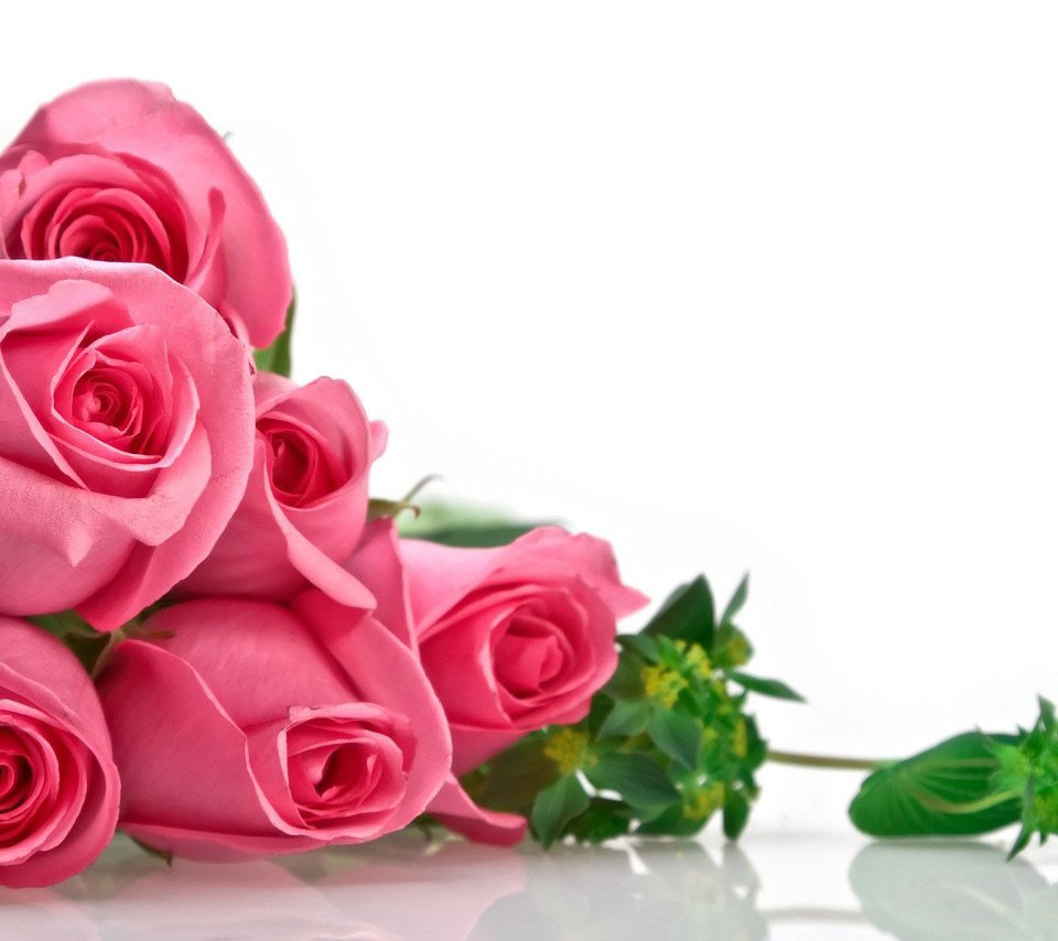 Обои цветы, бутоны, розы, роза, лепестки, букет, алая, flowers, buds, roses, rose, petals, bouquet, scarlet разрешение 1920x1200 Загрузить