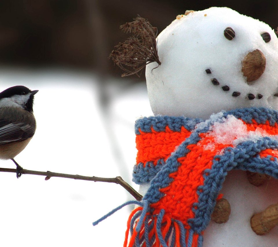 Обои снег, шарф, новый год, веточки, орехи, зима, снеговик, птица, арахис, синица, snow, scarf, new year, twigs, nuts, winter, snowman, bird, peanuts, tit разрешение 1920x1200 Загрузить