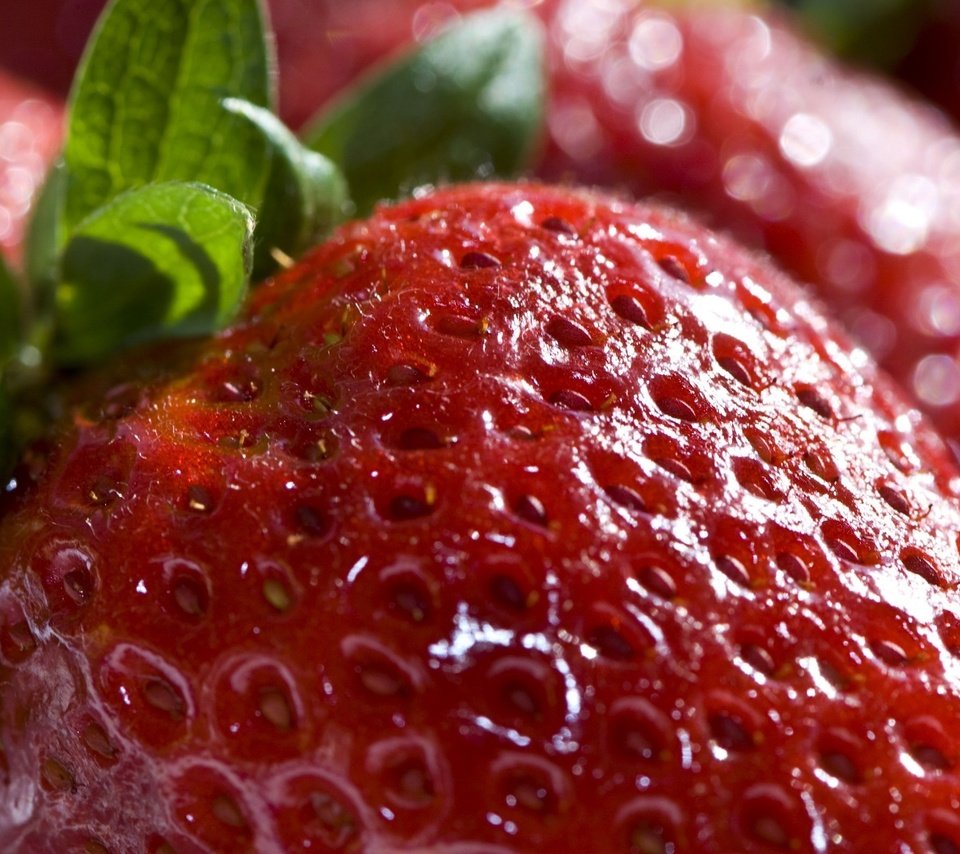 Обои макро, ягода, красная, клубника, macro, berry, red, strawberry разрешение 2560x1600 Загрузить