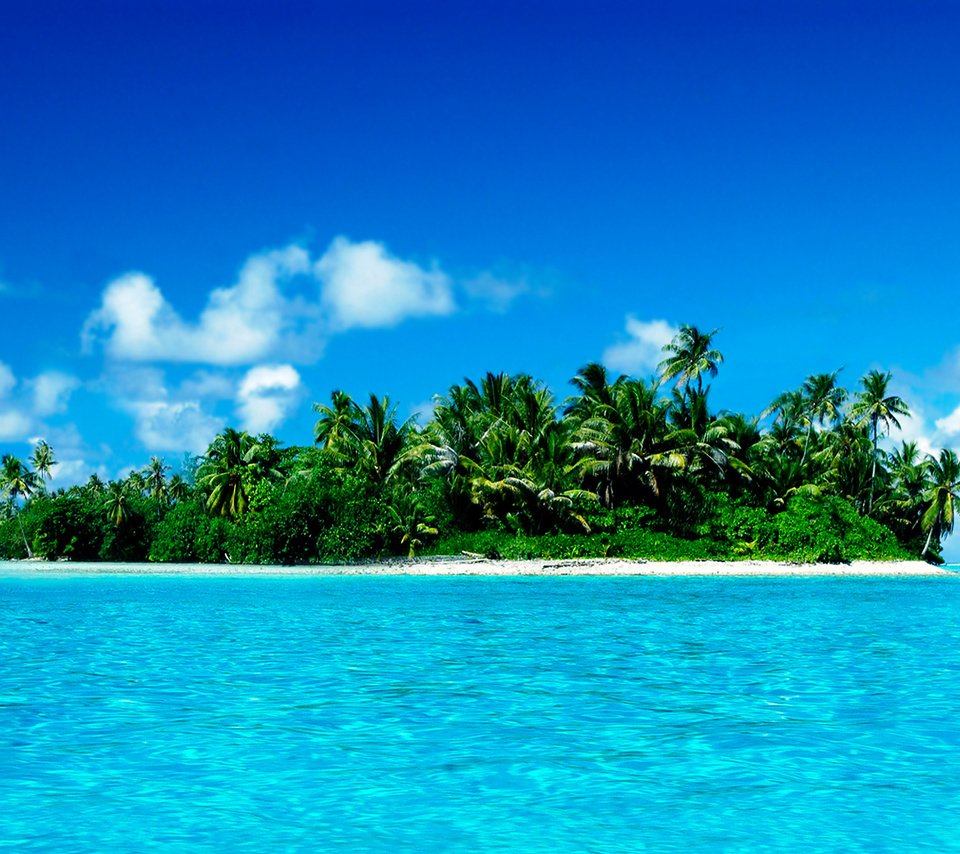 Обои остров, тропики, мальдивы, island, tropics, the maldives разрешение 1920x1200 Загрузить