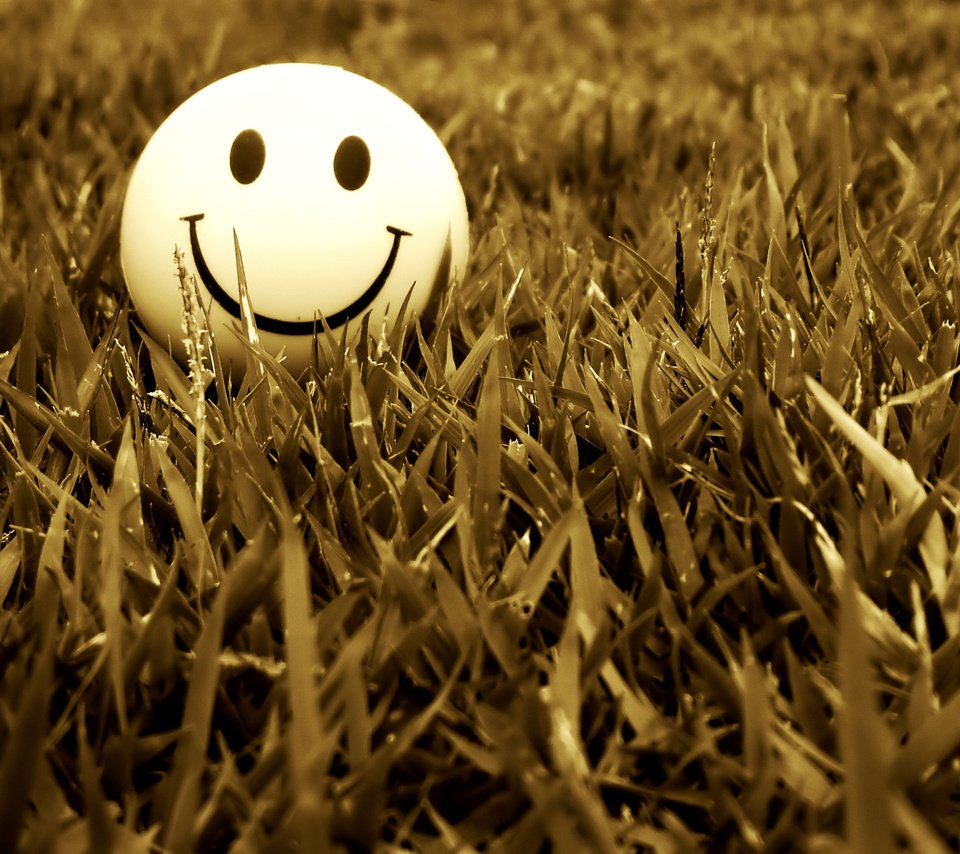 Обои трава, настроение, улыбка, смайлик, trava, nastroenie, smajl, удыбка, grass, mood, smile, smiley, ulybka разрешение 2048x1536 Загрузить