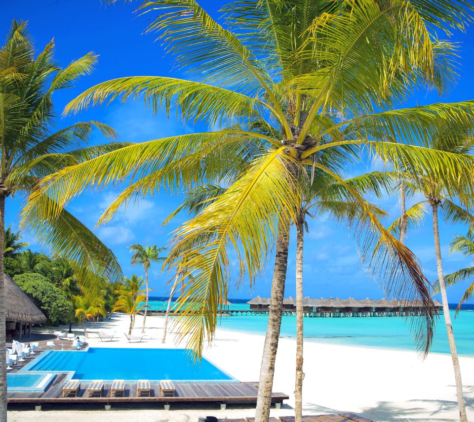 Обои море, пляж, курорт, тропики, мальдивы, sea, beach, resort, tropics, the maldives разрешение 5616x3744 Загрузить
