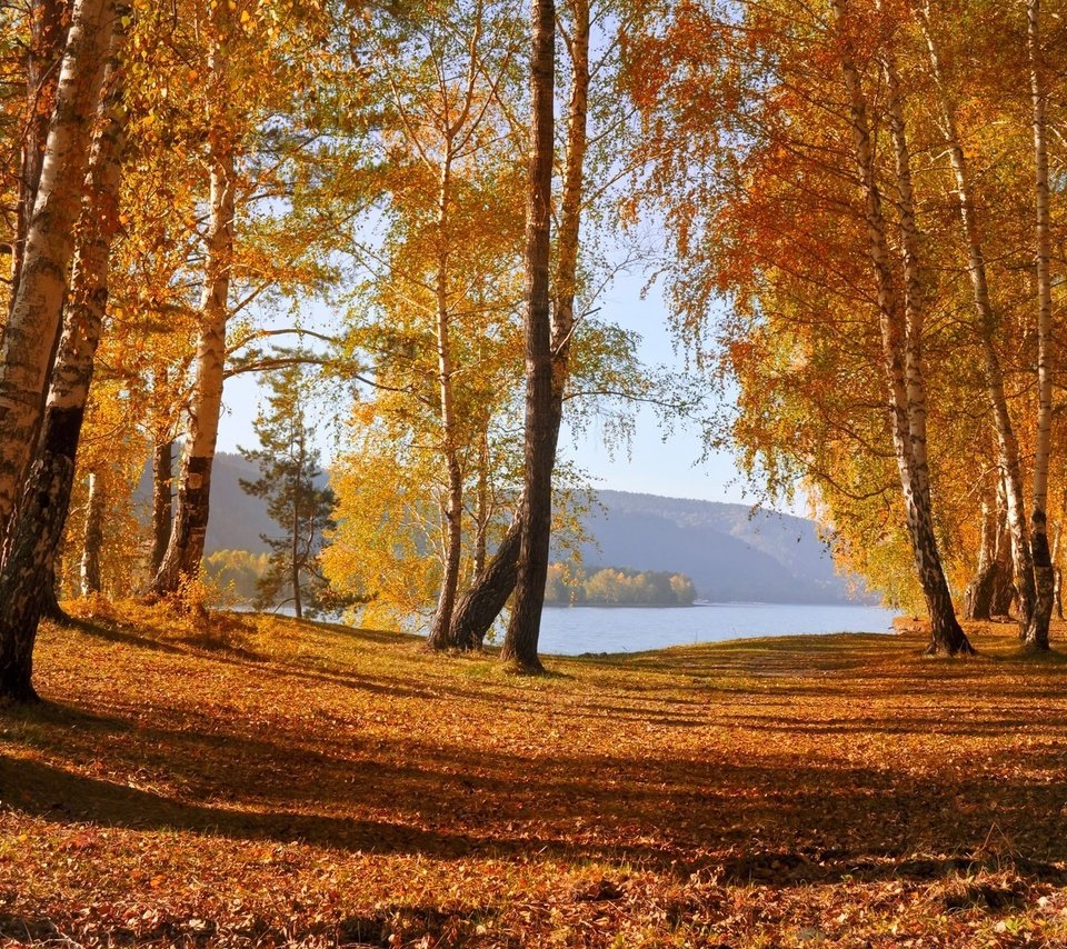 Обои деревья, озеро, горы, природа, лес, листья, осень, trees, lake, mountains, nature, forest, leaves, autumn разрешение 1920x1200 Загрузить