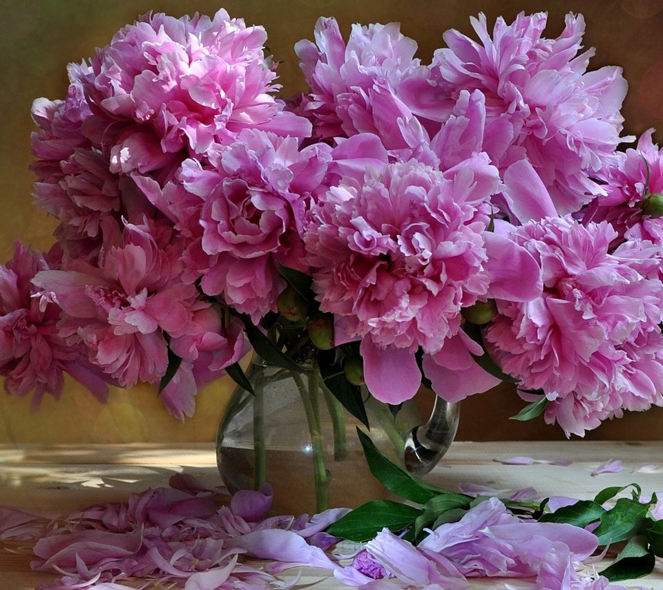 Обои цветы, лепестки, букет, розовые, пионы, flowers, petals, bouquet, pink, peonies разрешение 1920x1200 Загрузить