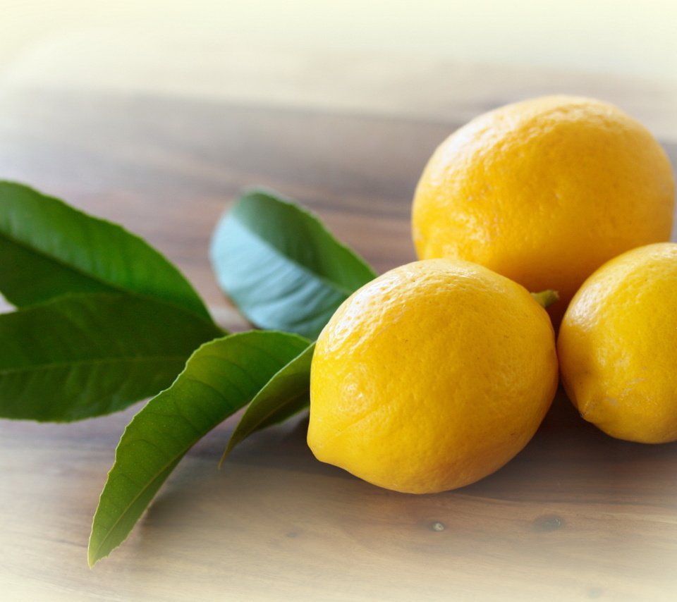 Обои макро, фрукты, цитрус, листики, лимоны, macro, fruit, citrus, leaves, lemons разрешение 2560x1600 Загрузить