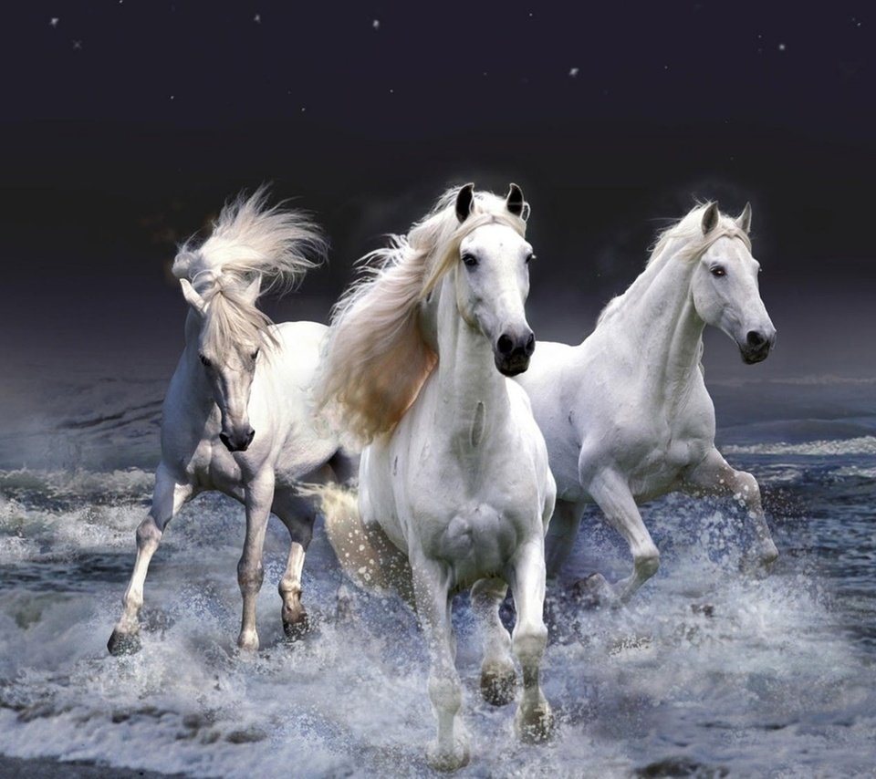 Обои декабрь, январь, три белых коня, эх, и февраль, december, january, three white horse, oh, and february разрешение 2560x1600 Загрузить