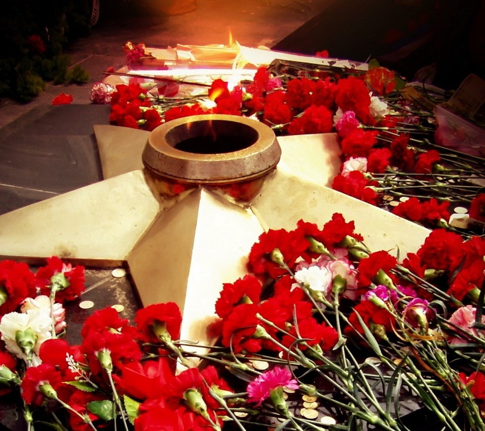 Обои цветы, звезда, день победы, 9 мая, вечный огонь, flowers, star, victory day, may 9, eternal flame разрешение 1920x1440 Загрузить