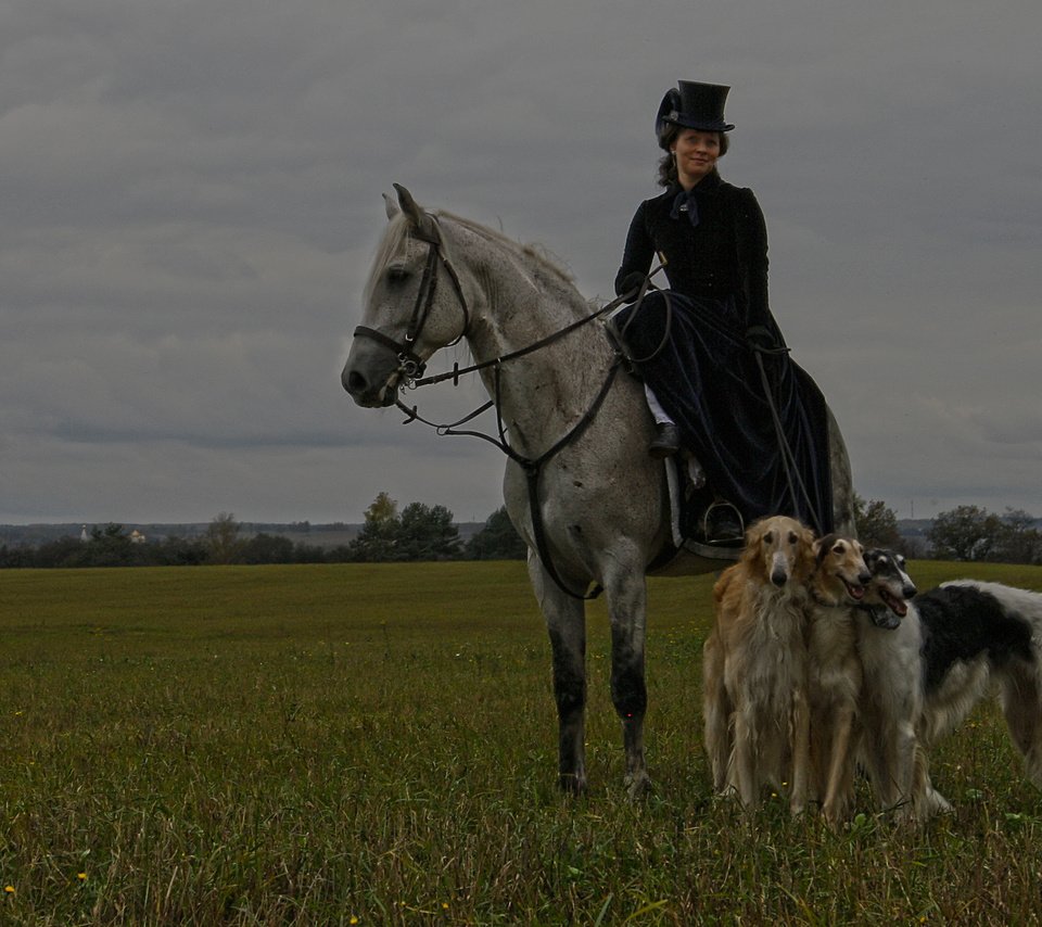 Обои лошадь, природа, костюм, шляпа, собаки, всадница, дама, horse, nature, costume, hat, dogs, rider, lady разрешение 1920x1200 Загрузить