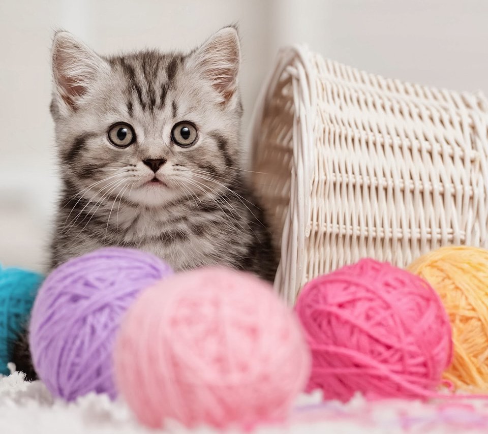 Обои кошка, котенок, корзина, клубки, нитки, cat, kitty, basket, balls, thread разрешение 1920x1200 Загрузить