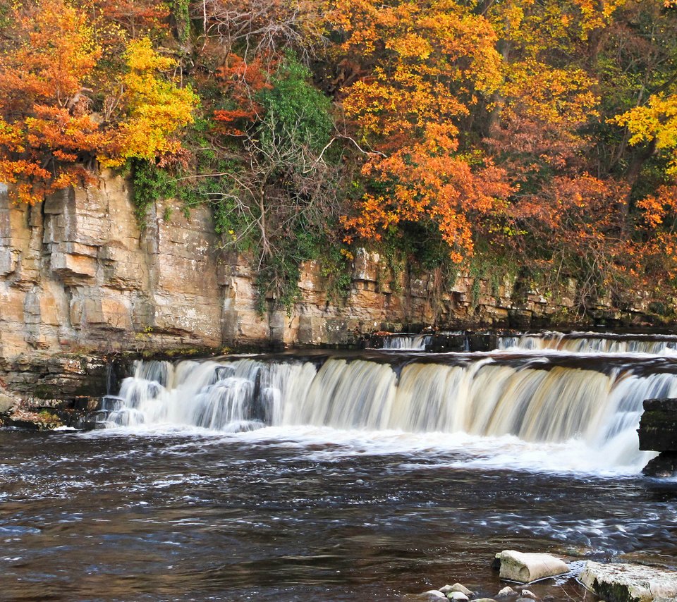 Обои деревья, река, горы, скалы, пороги, осень, richmond falls, trees, river, mountains, rocks, thresholds, autumn разрешение 1920x1101 Загрузить