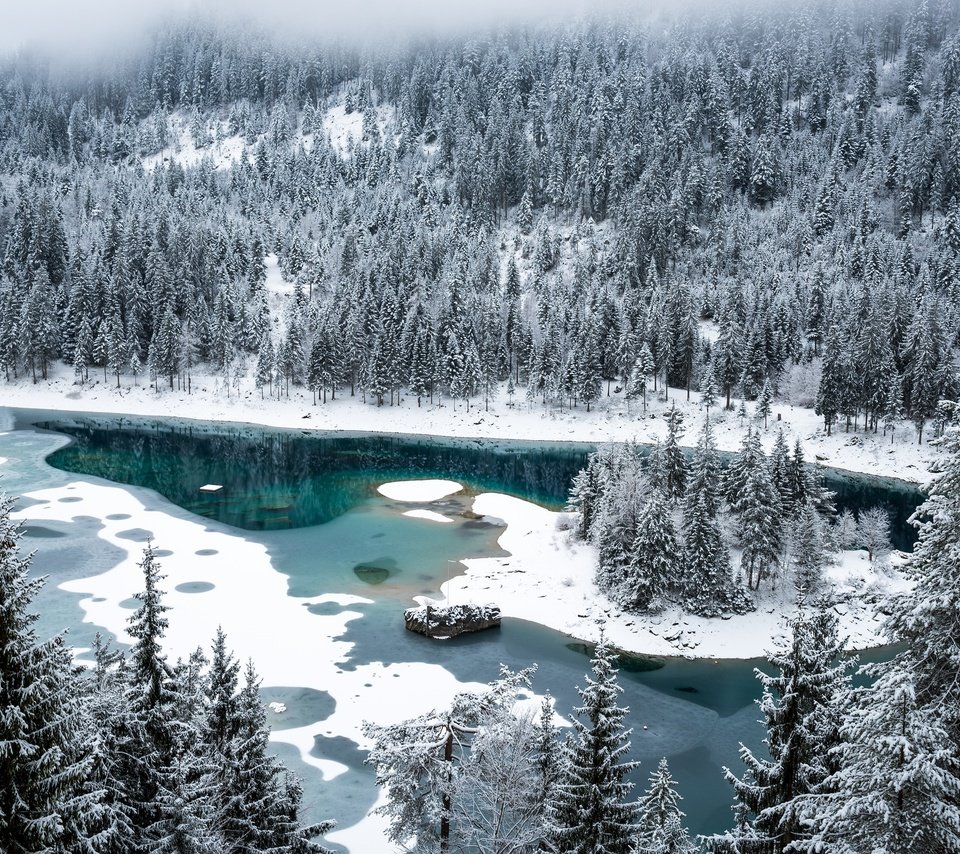 Обои снег, лес, зима, швейцария, озеро каума, флимс, snow, forest, winter, switzerland, lake cauma, flims разрешение 3000x2003 Загрузить