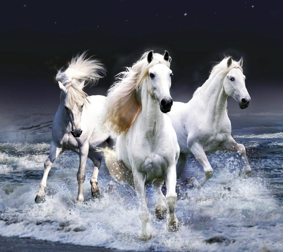Обои вода, волны, лошади, кони, бег, красавцы, water, wave, horse, horses, running, handsome разрешение 1920x1080 Загрузить