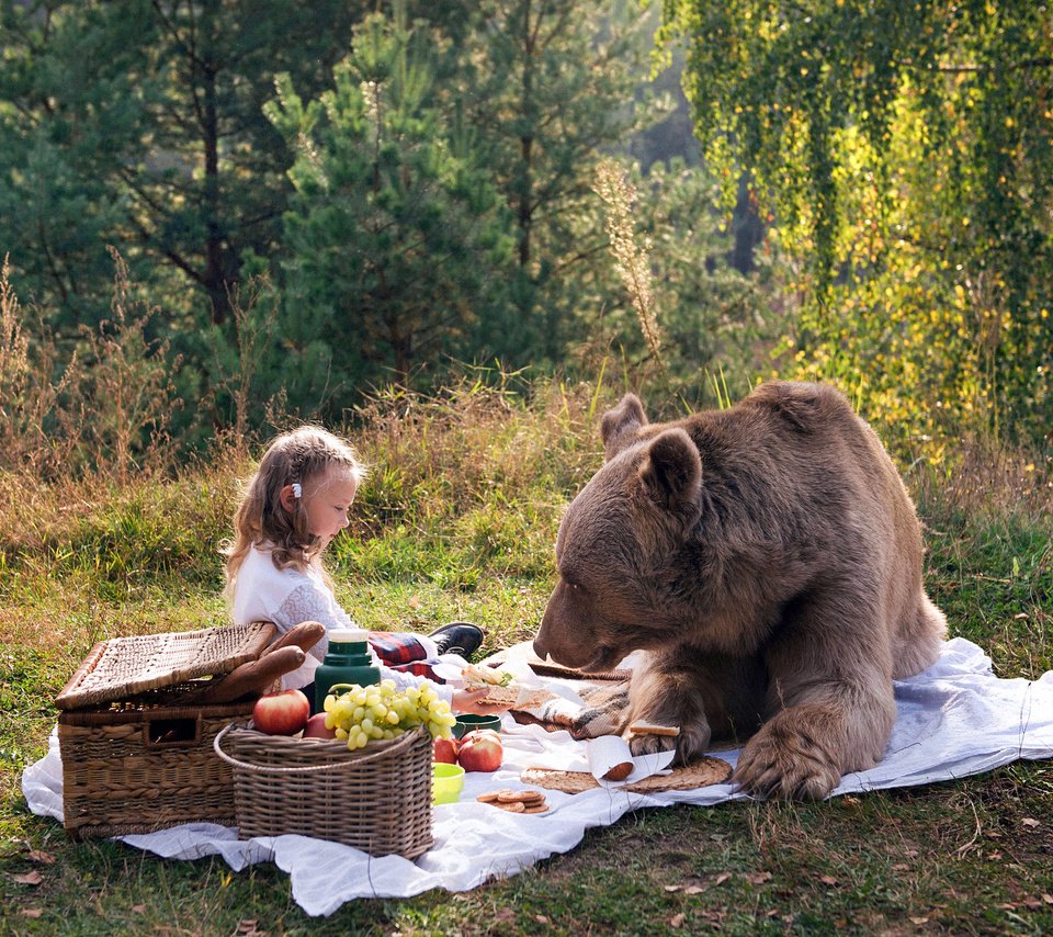 Обои природа, медведь, девочка, пикник, маша и медведь, nature, bear, girl, picnic, masha and the bear разрешение 4252x2835 Загрузить