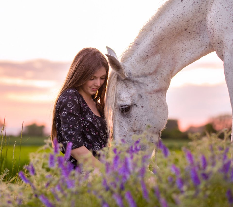 Обои природа, девушка, конь, nature, girl, horse разрешение 2048x1365 Загрузить