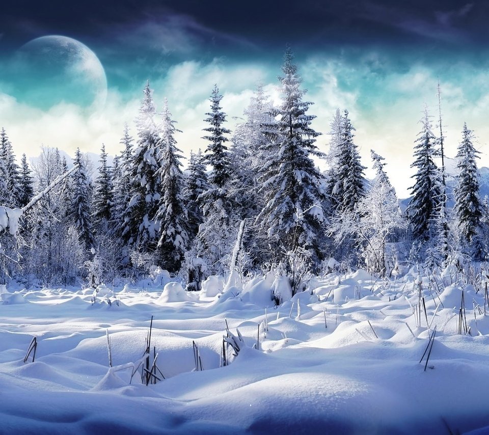 Обои небо, облака, деревья, снег, лес, зима, луна, the sky, clouds, trees, snow, forest, winter, the moon разрешение 1920x1200 Загрузить