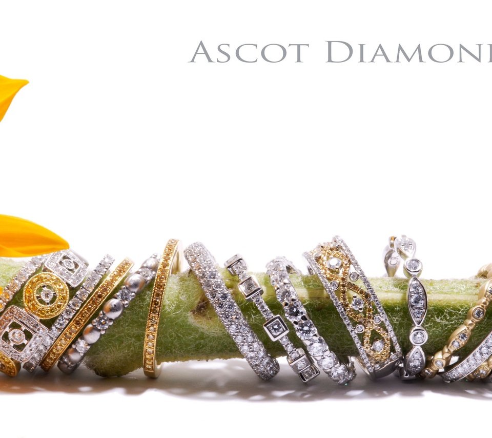 Обои цветок, кольца, украшение, алмаз, jewelery, flower, ring, decoration, diamond разрешение 2896x1944 Загрузить