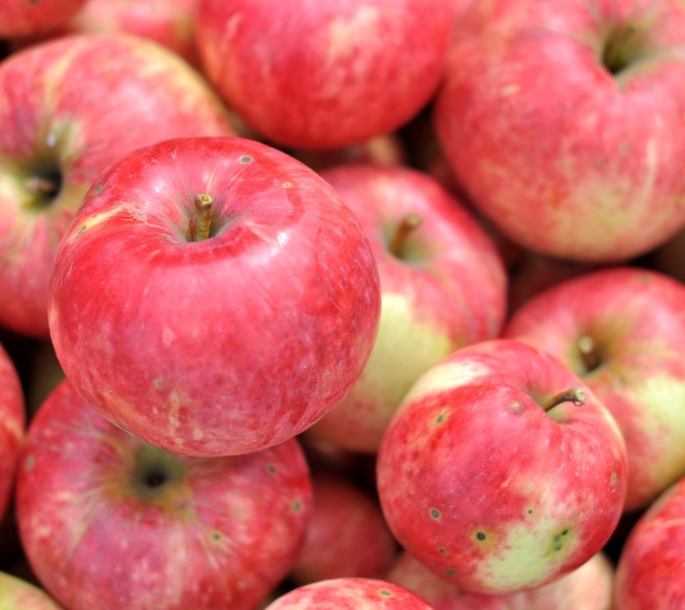 Обои макро, фрукты, яблоки, плоды, macro, fruit, apples разрешение 3000x1993 Загрузить