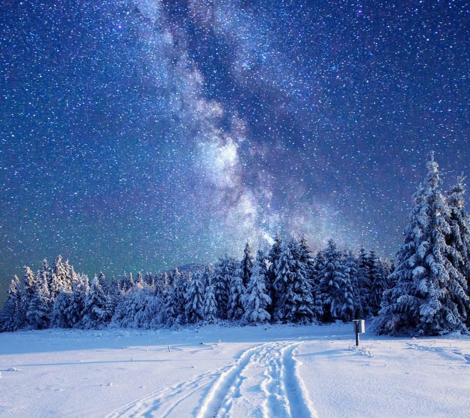 Обои небо, деревья, лес, зима, звезды, млечный путь, the sky, trees, forest, winter, stars, the milky way разрешение 1920x1080 Загрузить