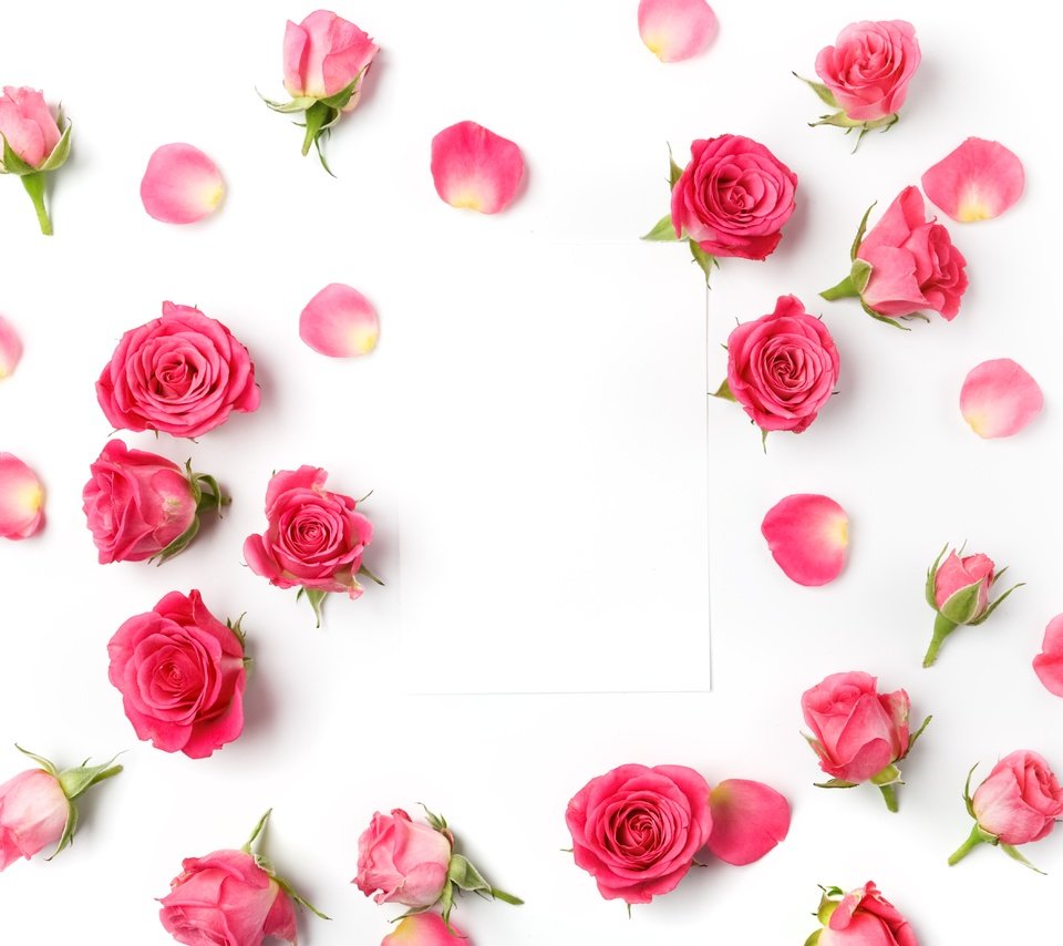 Обои бутоны, розы, романтик,  цветы, роз, пинк, buds, roses, romantic, flowers, pink разрешение 4990x3744 Загрузить