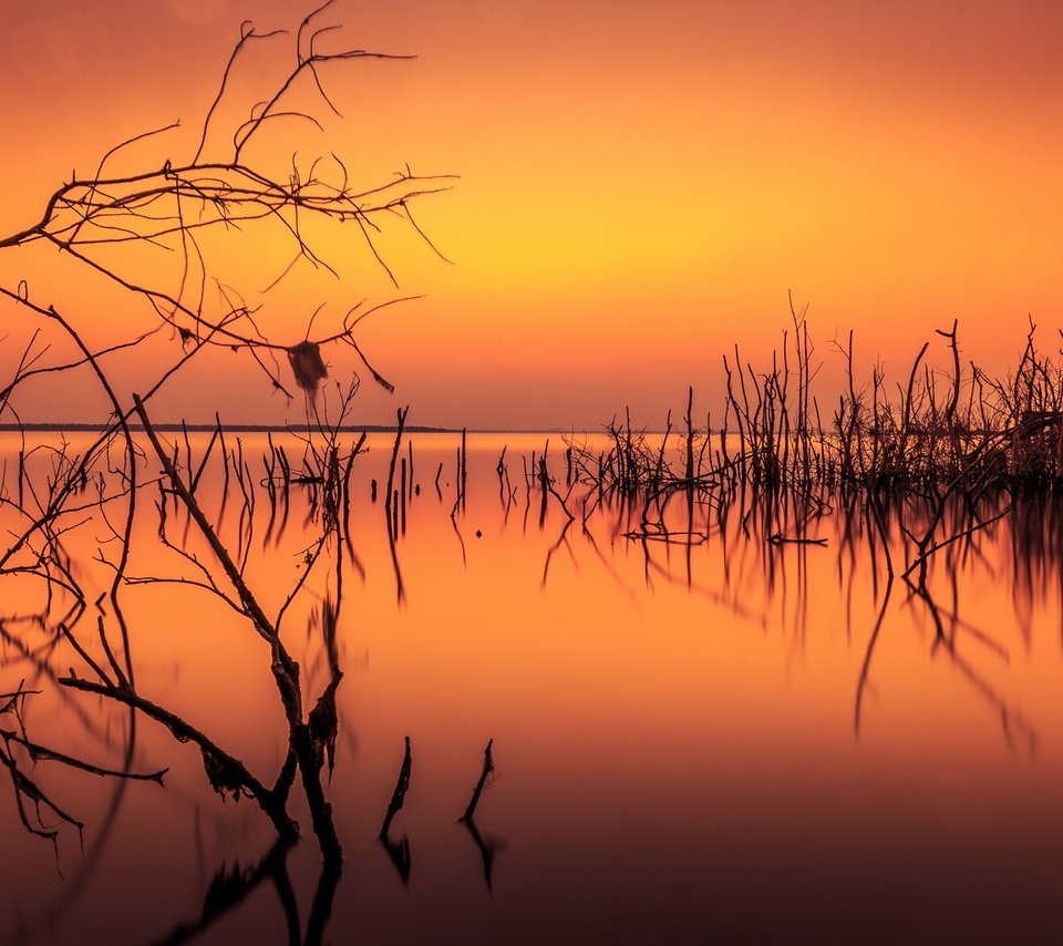 Обои озеро, ветки, силуэты, зарево, lake, branches, silhouettes, glow разрешение 2048x1268 Загрузить