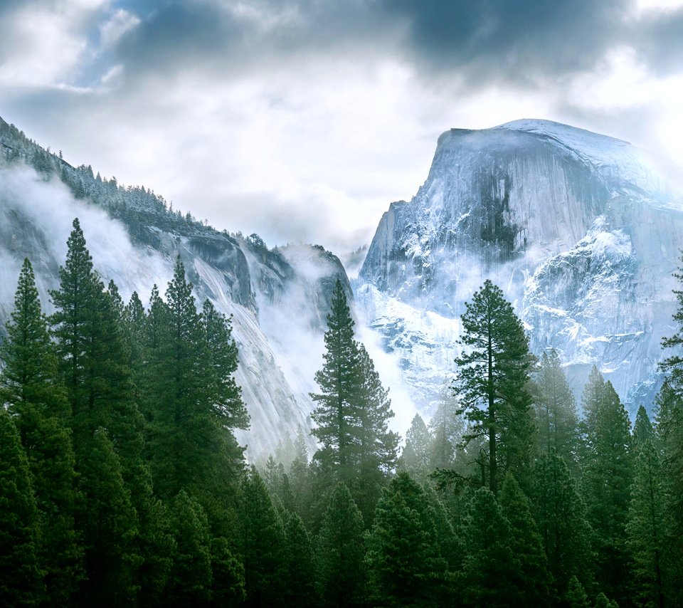 Обои деревья, горы, снег, природа, лес, trees, mountains, snow, nature, forest разрешение 3840x2160 Загрузить