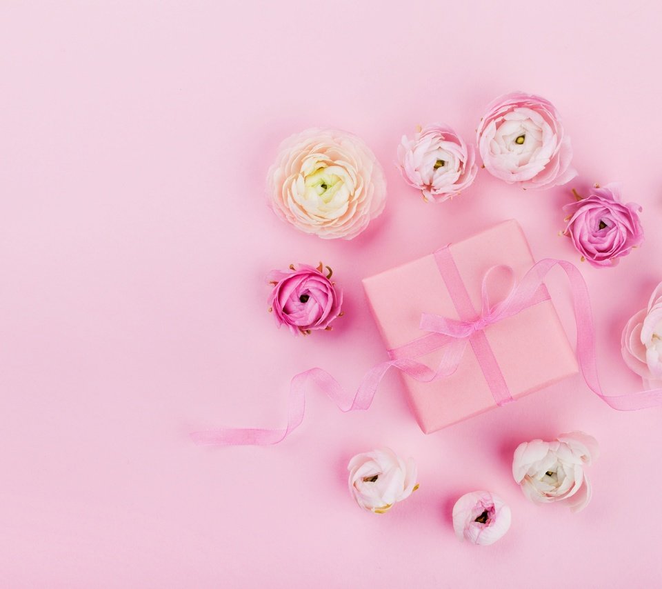 Обои цветы, розовый, лента, подарок, свадьба, праздник, декор, flowers, pink, tape, gift, wedding, holiday, decor разрешение 5616x3744 Загрузить