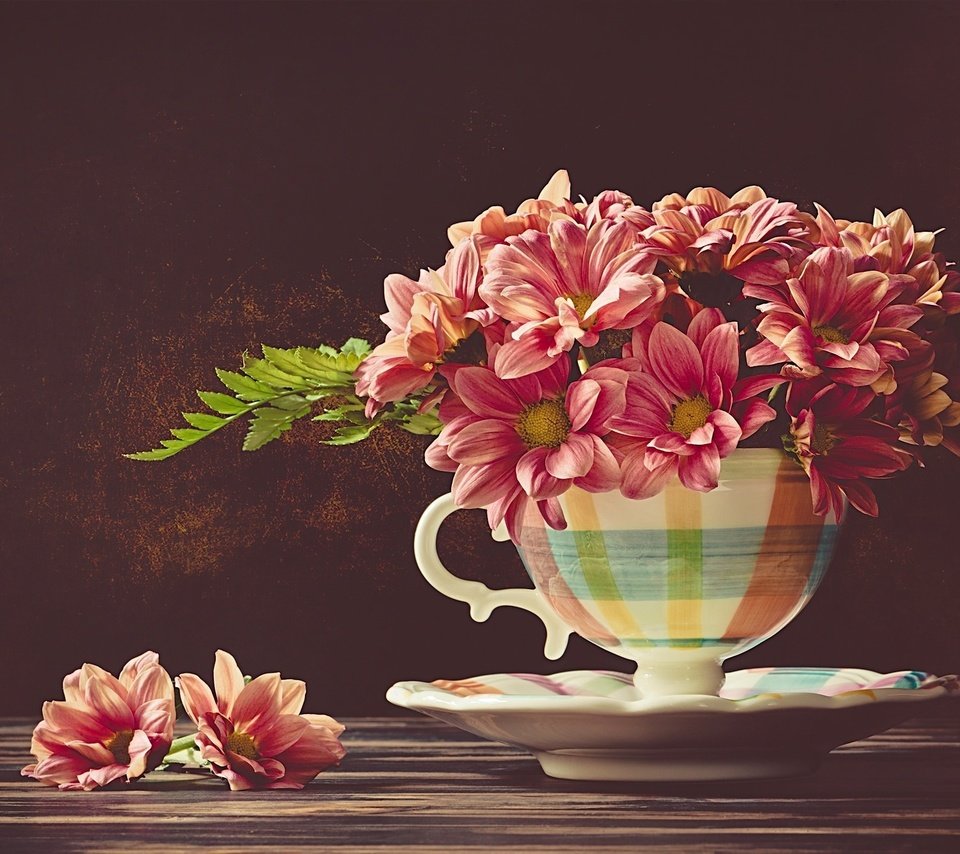 Обои цветы, блюдце, чашка, хризантемы, flowers, saucer, cup, chrysanthemum разрешение 2048x1367 Загрузить