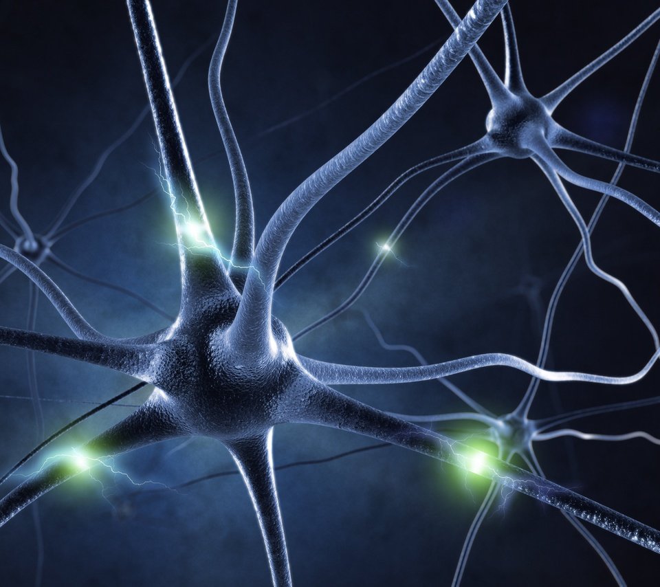 Обои свет, фон, синий, цвет, клетки, нейрон, синапсы, 3d графика, light, background, blue, color, cells, neuron, synapses, 3d graphics разрешение 5000x3753 Загрузить