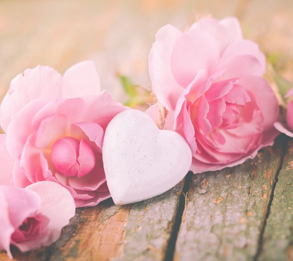 Обои цветы, розы, сердечко, сердце, доски, flowers, roses, heart, board разрешение 2880x1800 Загрузить