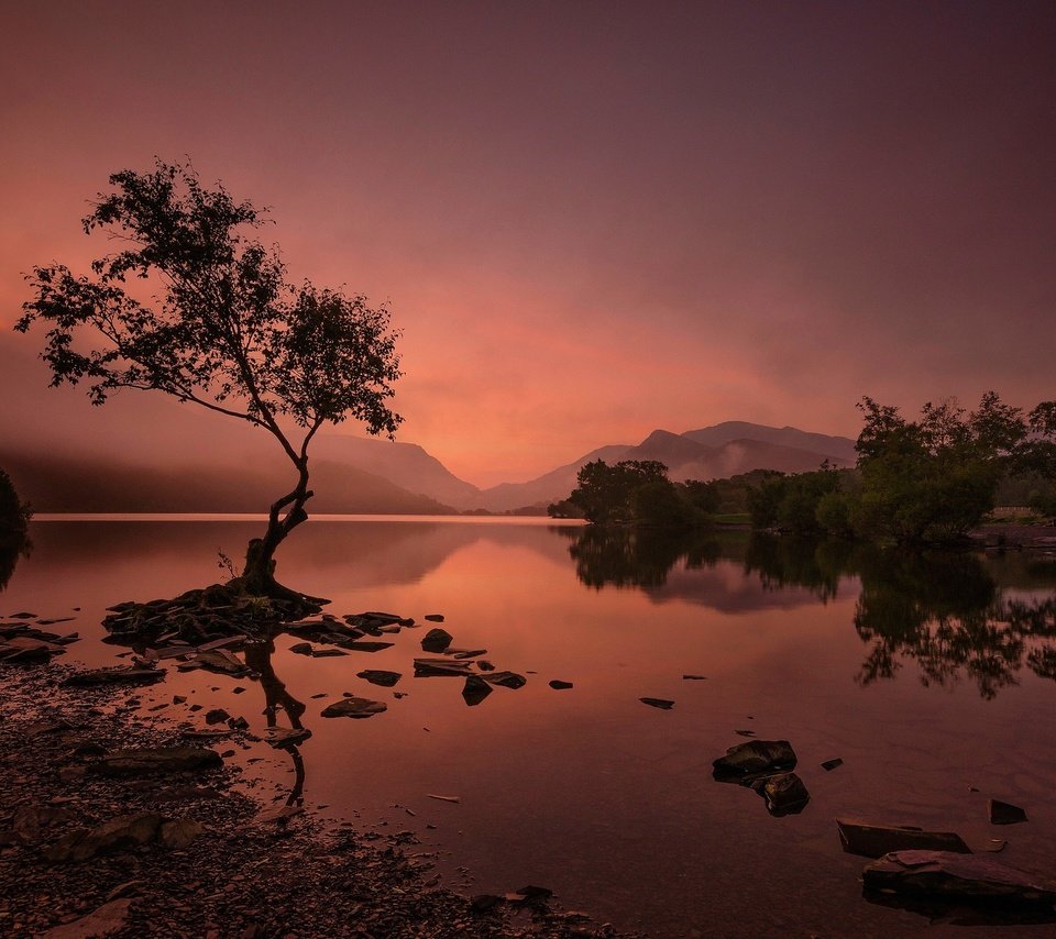 Обои озеро, горы, дерево, уэльс, сноудония, ллин падарн, lake, mountains, tree, wales, snowdonia, llyn padarn разрешение 2048x1330 Загрузить