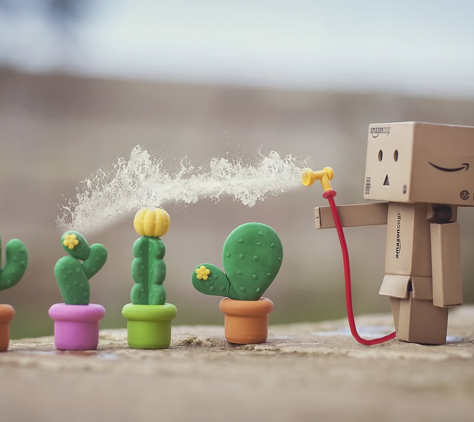 Обои цветы, коробка, кактусы, данбо, картонный робот, flowers, box, cacti, danbo, cardboard robot разрешение 1920x1200 Загрузить