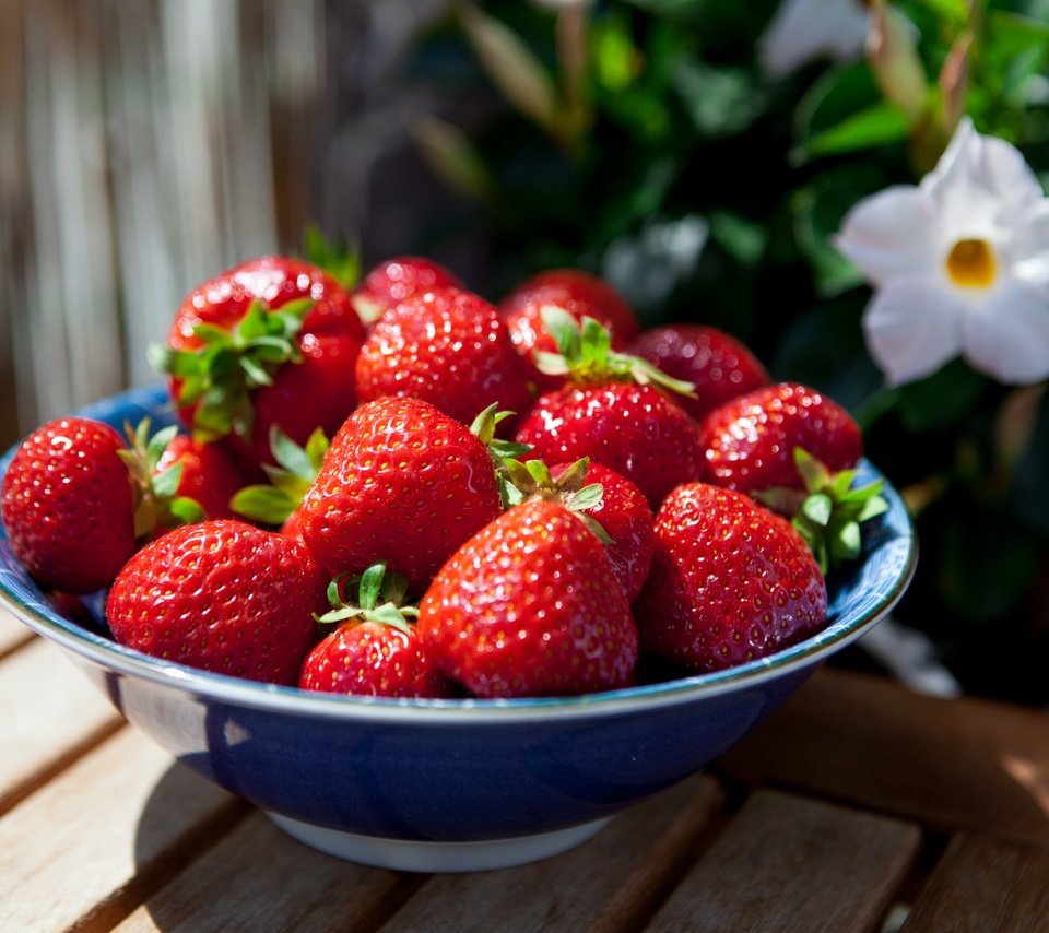 Обои цветы, лето, клубника, ягоды, миска, деревянная поверхность, flowers, summer, strawberry, berries, bowl, wooden surface разрешение 5452x3635 Загрузить