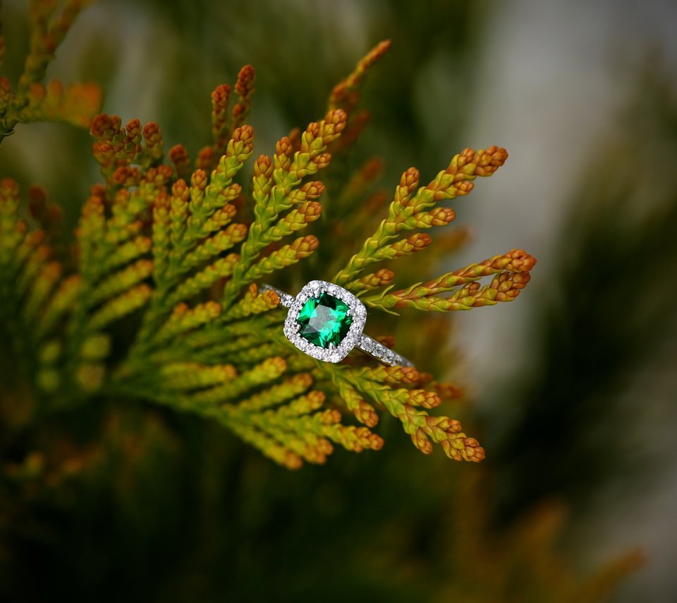 Обои кольцо, украшение, изумруд, ring, decoration, emerald разрешение 5760x3840 Загрузить