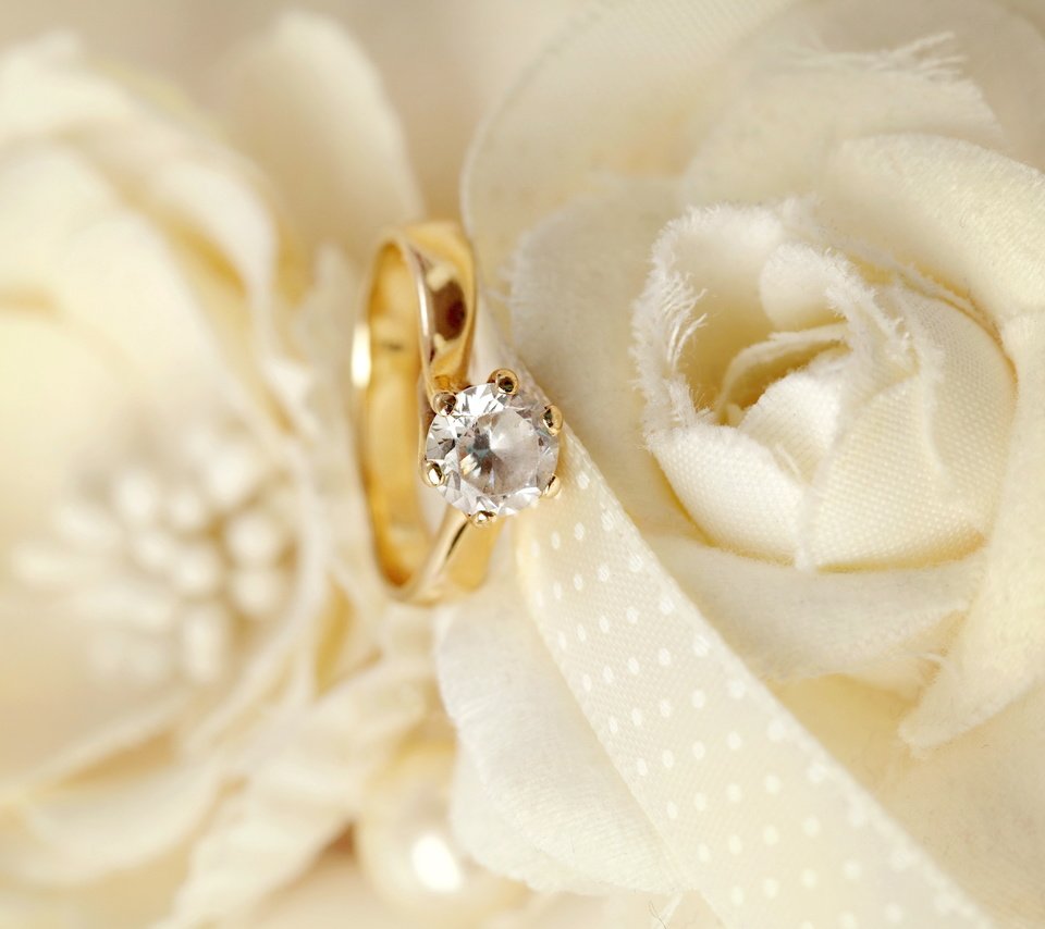 Обои цветы, кольцо, свадьба, праздник, wedding-background-flowers, flowers, ring, wedding, holiday разрешение 5616x3744 Загрузить