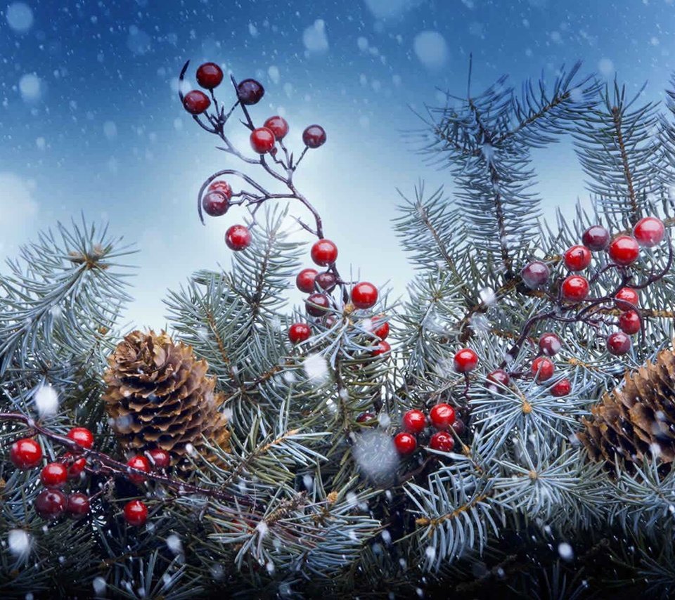 Обои новый год, елка, хвоя, ягоды, рождество, шишки, new year, tree, needles, berries, christmas, bumps разрешение 1920x1200 Загрузить