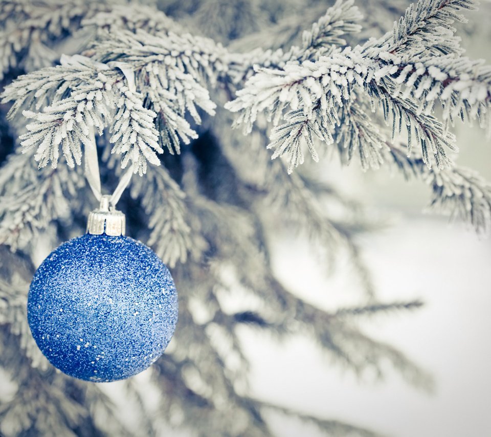 Обои новый год, елка, хвоя, ветки, иней, шар, рождество, new year, tree, needles, branches, frost, ball, christmas разрешение 1920x1200 Загрузить