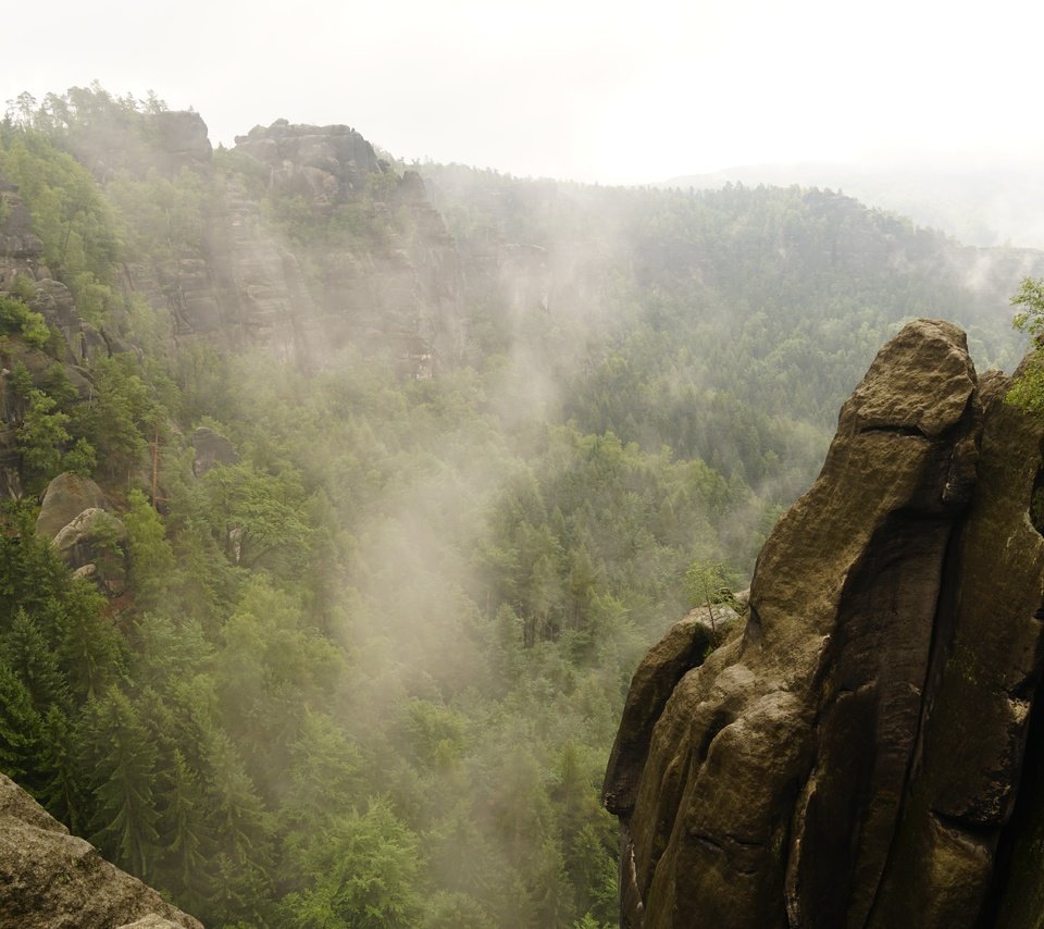 Обои деревья, скалы, природа, туман, долина, trees, rocks, nature, fog, valley разрешение 6000x4000 Загрузить