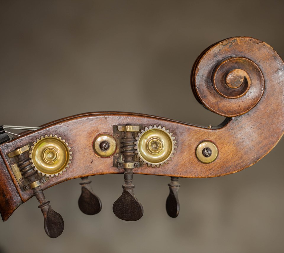 Обои скрипка, крупный план, музыкальный инструмент, violin, close-up, musical instrument разрешение 5614x3743 Загрузить