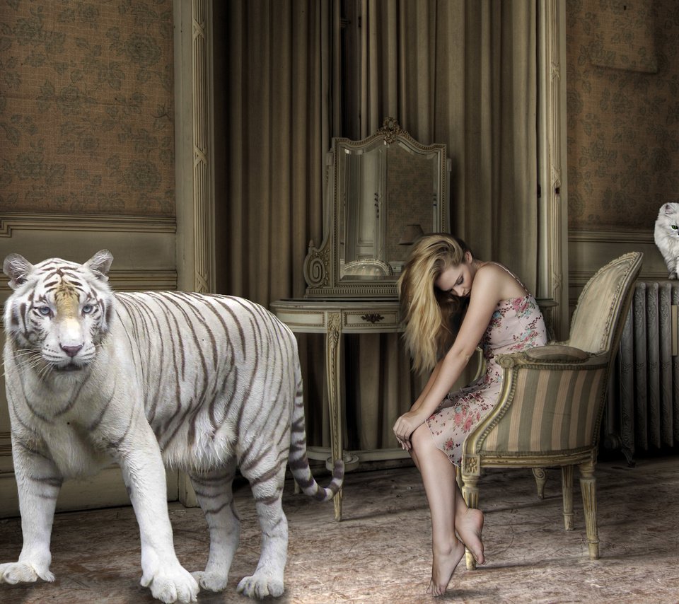 Обои босиком, тигр, большой кот, девушка, батарея, кошка, комната, креатив, волосы, кресло, белый тигр, barefoot, tiger, big cat, girl, battery, cat, room, creative, hair, chair, white tiger разрешение 2880x1800 Загрузить